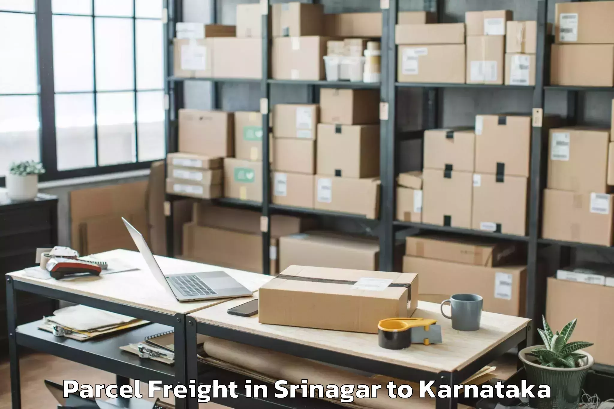 Quality Srinagar to Karnataka Janapada Vishwavidya Parcel Freight